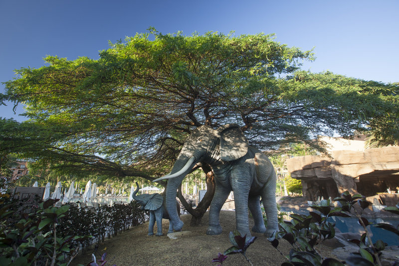 Lopesan Baobab Resort 26