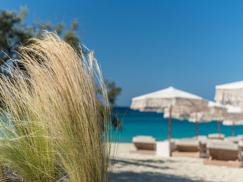 Virtu Suites 15