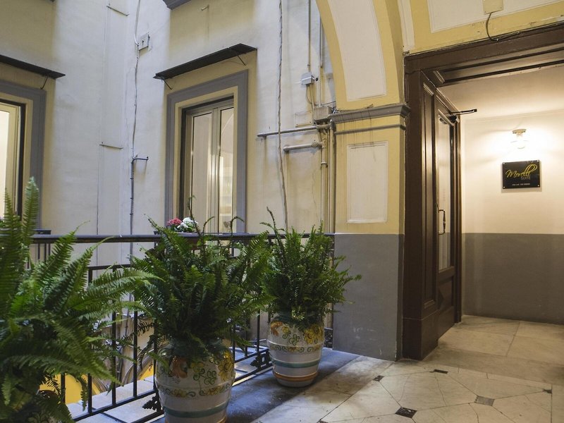 Morelli Suite