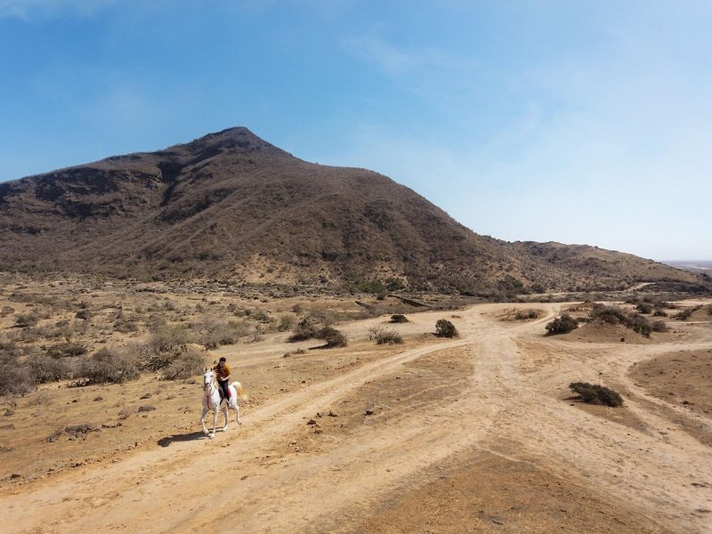 Atana Stay Salalah 7