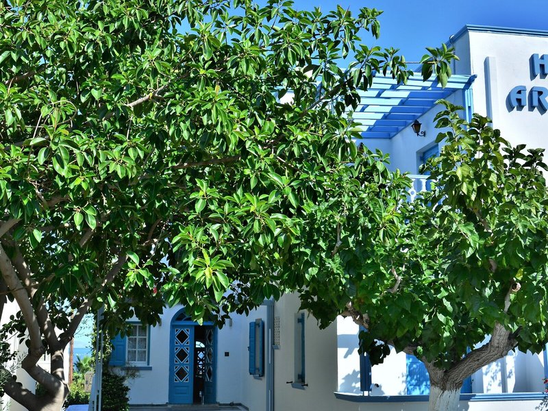 Artemis Hotel 4