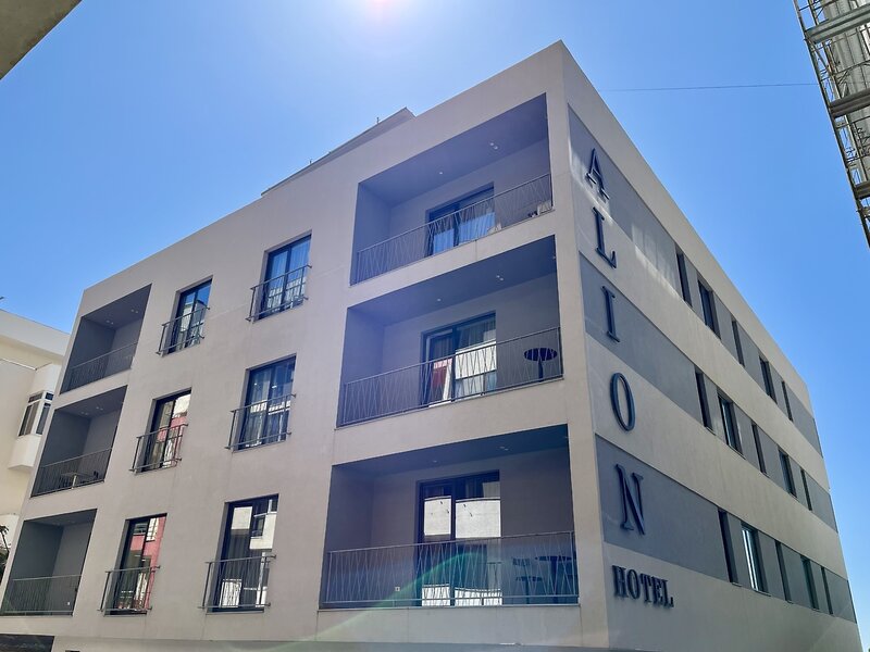 Hotel Alion 1