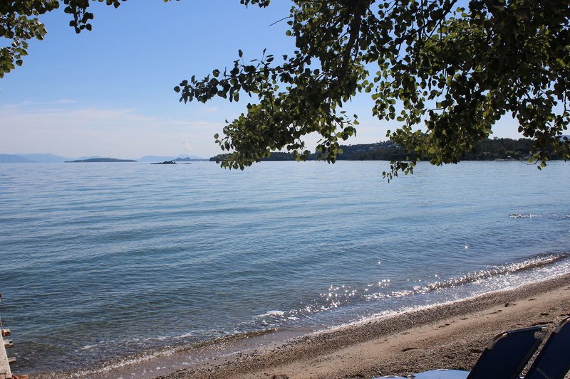 Dassia Beach 8