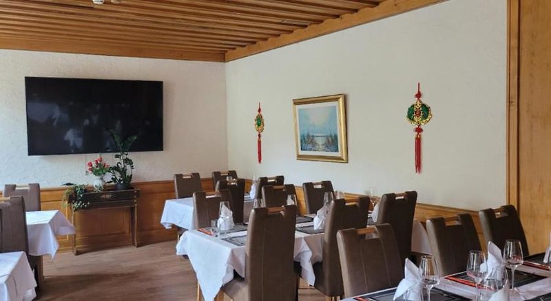 Hotel Residence Zweisimmen 4