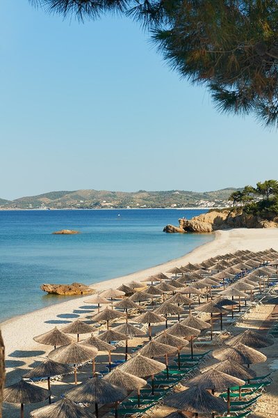 Alexandra Elegance 6