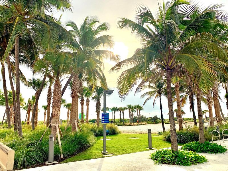 The Broadmoor Miami Beach 7