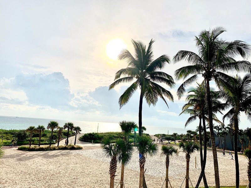 The Broadmoor Miami Beach 8