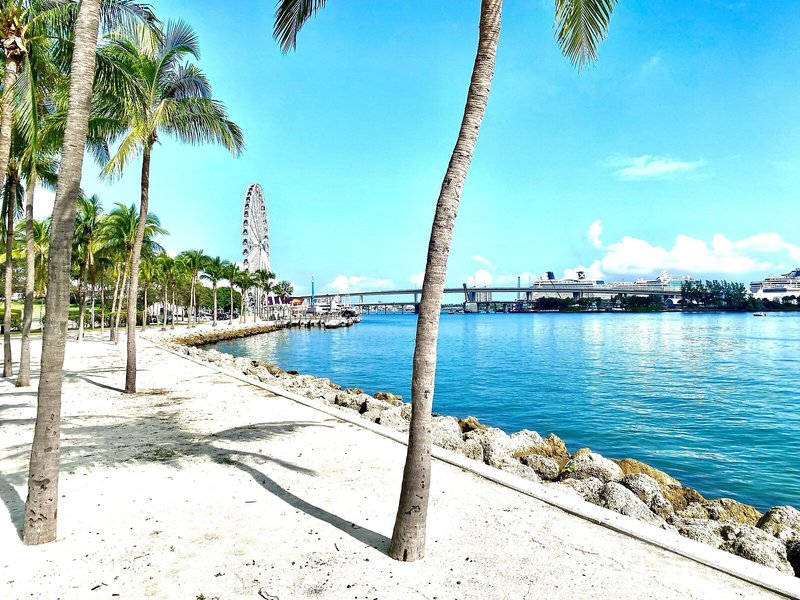 Hotel Indigo Brickell 7