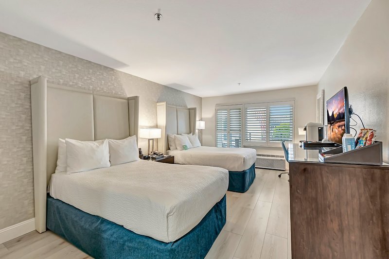 Ocean View 5
