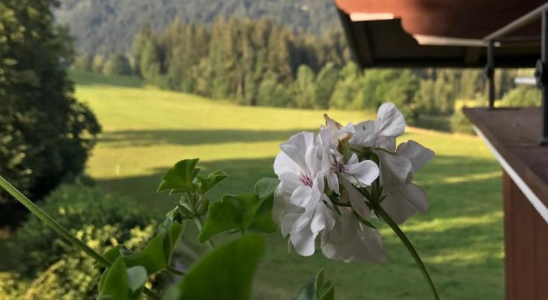 Hof Oberhaus 3