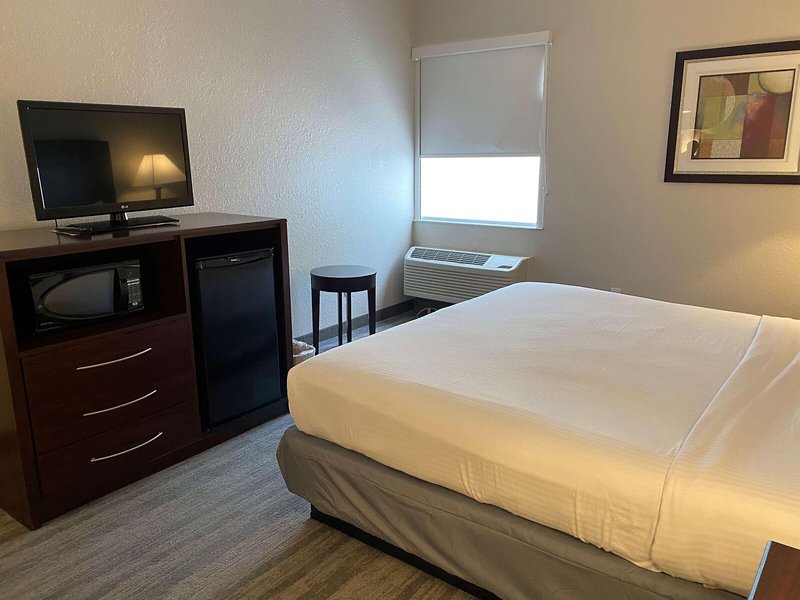 Best Western Tampa 29