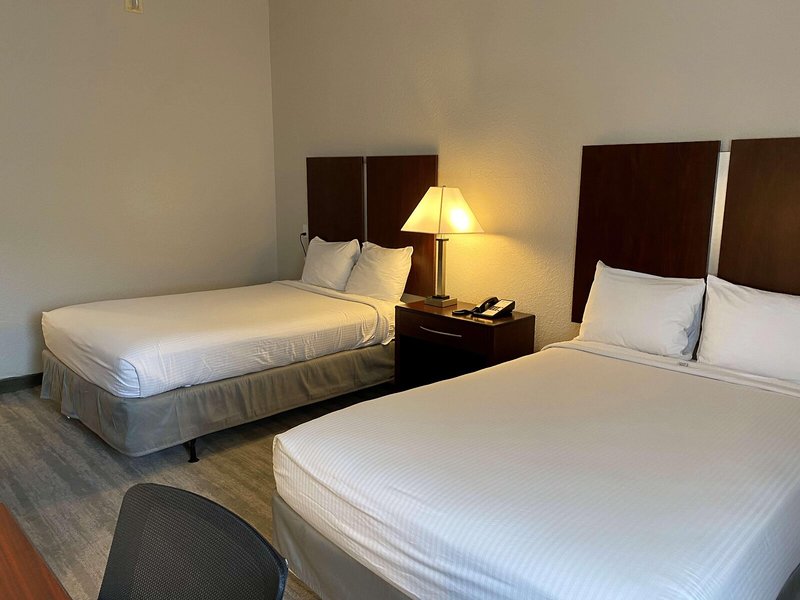 Best Western Tampa 31