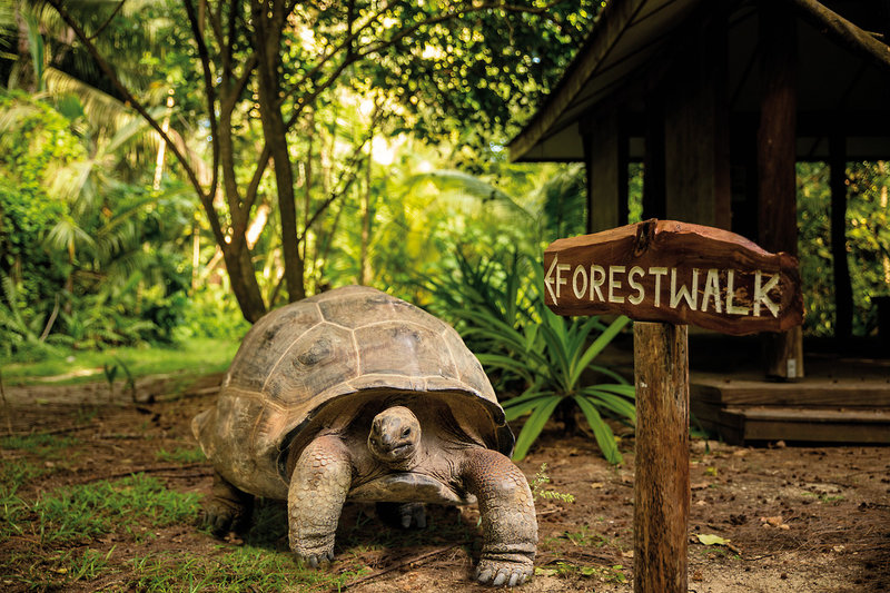 Denis Private Island 21