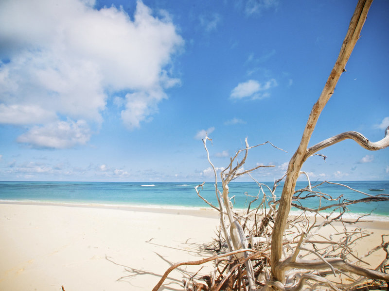 Denis Private Island 7