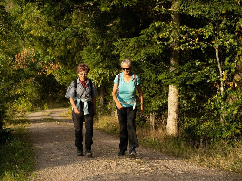 Wellnesshotel Alpenblick 11