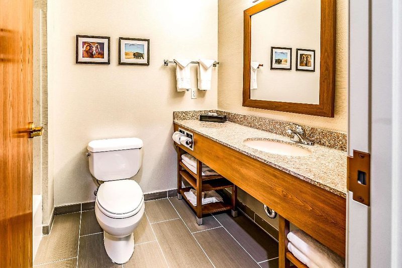 Comfort Inn & Suites Rapid City 3