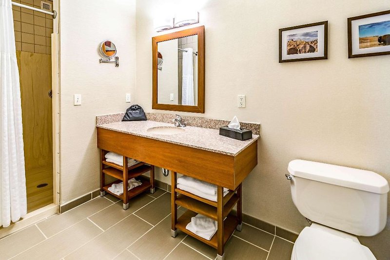 Comfort Inn & Suites Rapid City