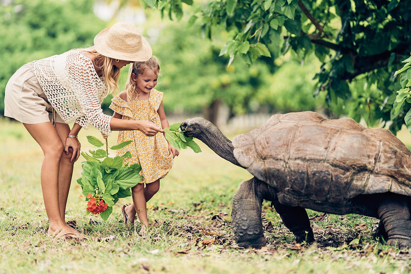 Four Seasons Resort Seychelles at Desroches Island 6