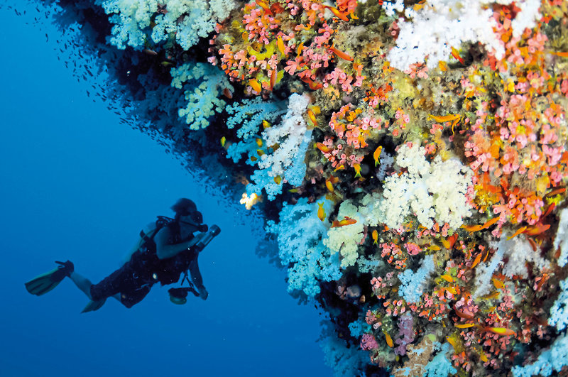 Four Seasons Resort Seychelles at Desroches Island 32
