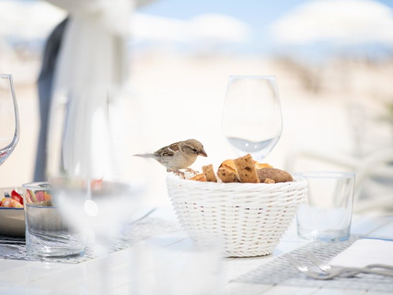 Grand Hotel Rimini 25