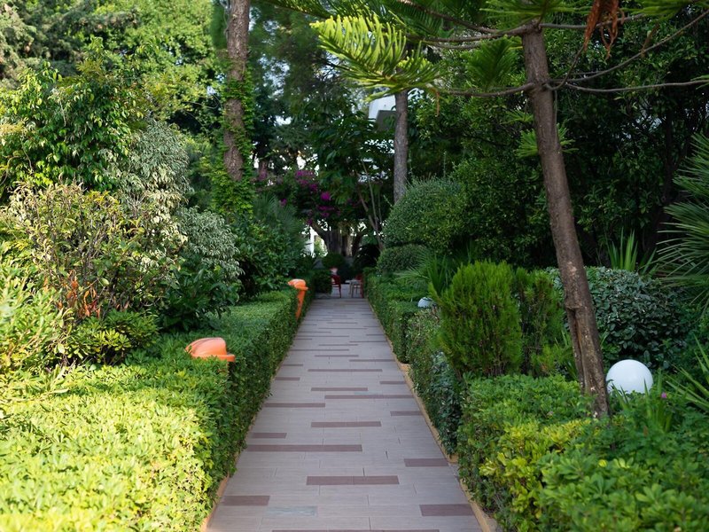 Dionysos 12 - Garden