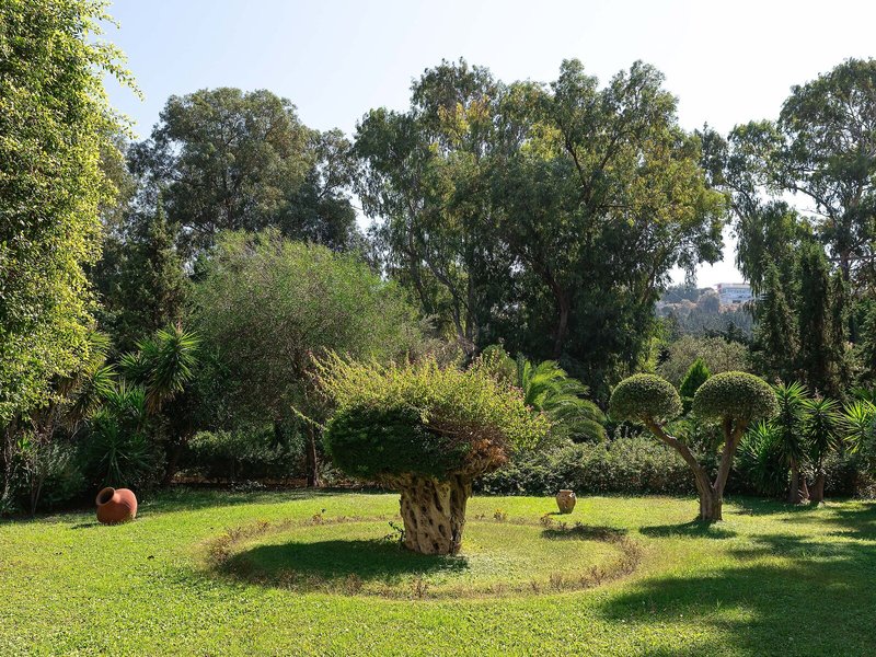 Dionysos 15 - Garden