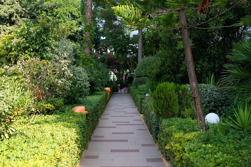 Dionysos Hotel 18
