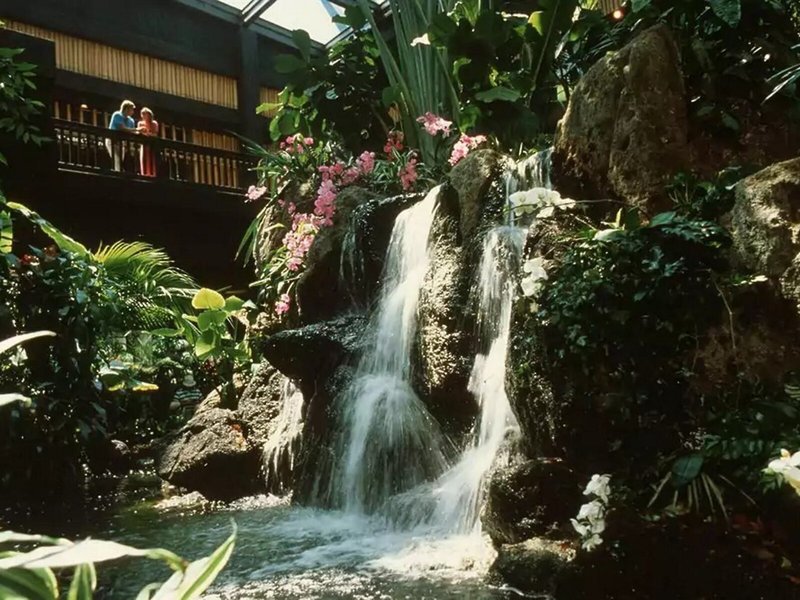Disney's Polynesian Village Resort 9