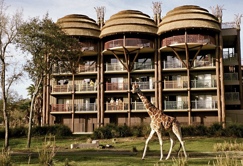 Disney's Animal Kingdom Lodge 7