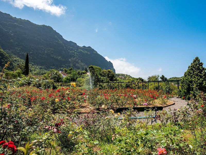 Quinta Do Arco Nature & Rose Garden Resort 6