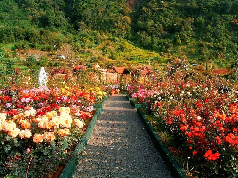 Quinta Do Arco Nature & Rose Garden Resort 7
