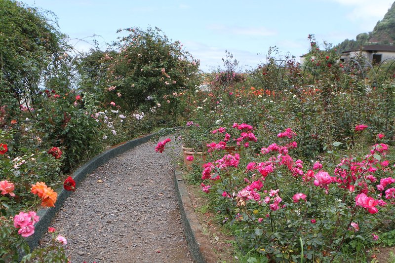 Pestana Quinta do Arco Nature & Rose Garden Hotel 11