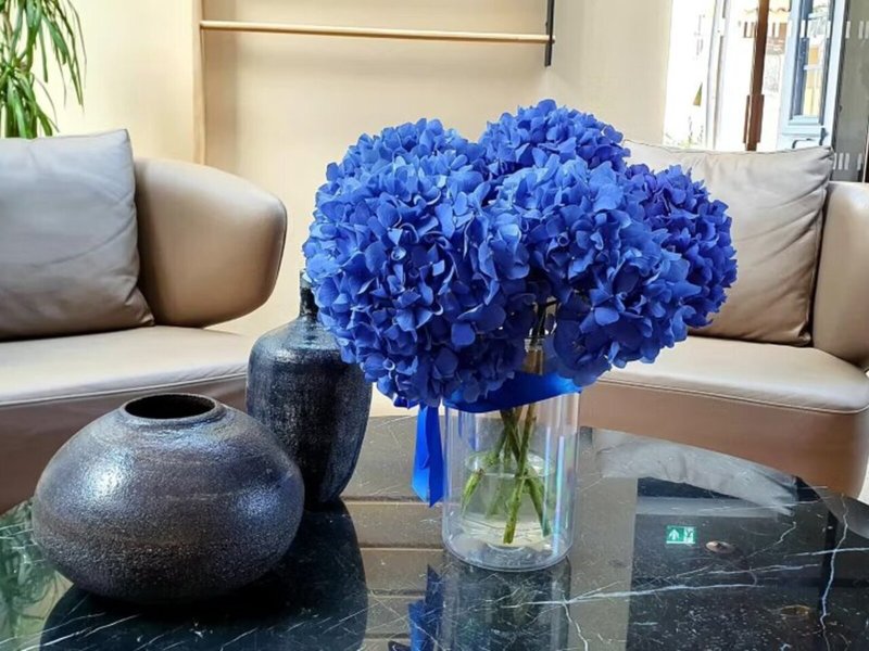 Hotel Indigo Larnaca 12 - People