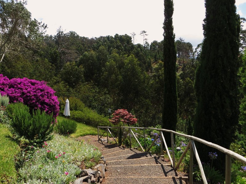 Quinta Atrio 4