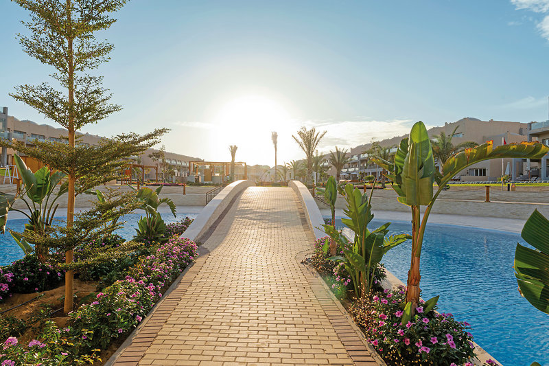 COOEE Akassia Diamond 8