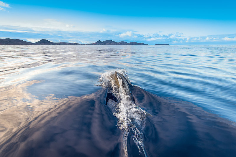 Vila Baleira Porto Santo Wellness Resort & Thalasso Spa 39