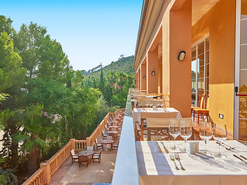 Continental Don Antonio 8