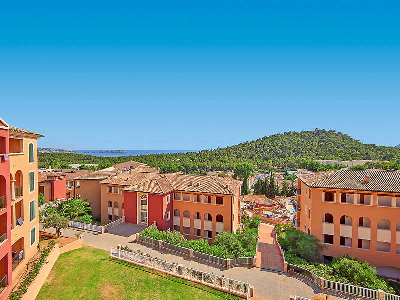 Continental Don Antonio 10