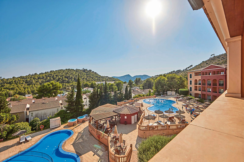 Continental Don Antonio 8