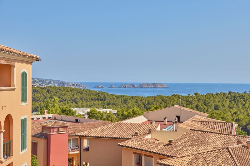 Continental Don Antonio 5