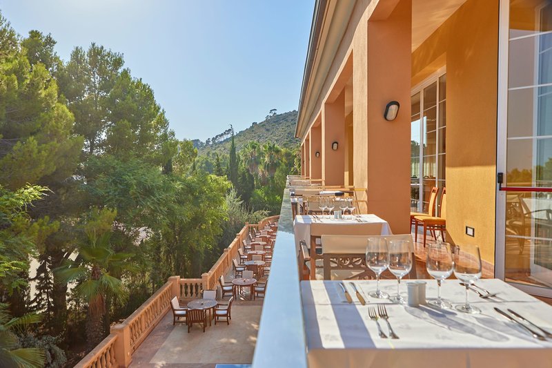 Continental Don Antonio 8