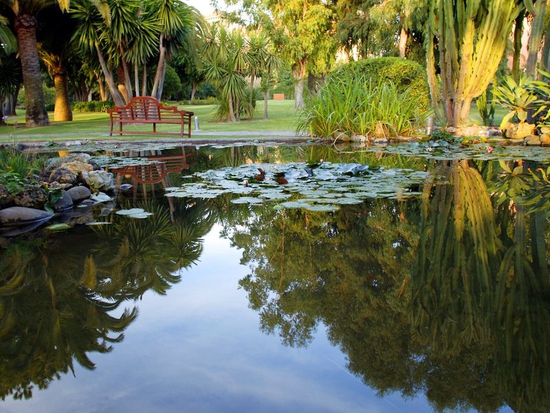 Don Carlos Leisure Resort & Spa 6