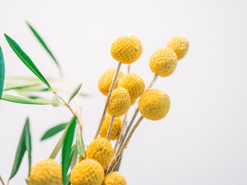 Hotel Nou Baleares 12