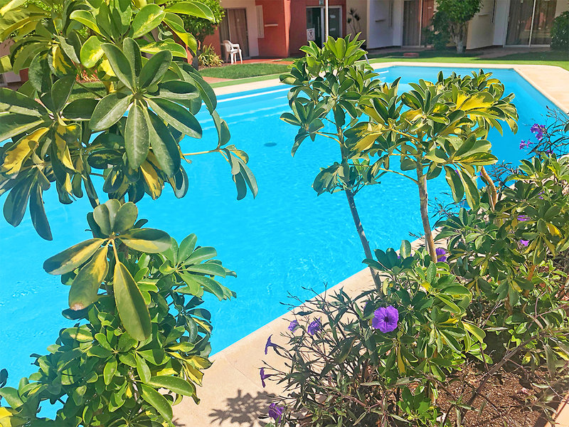 Apartments Don Gregorio Studios 8