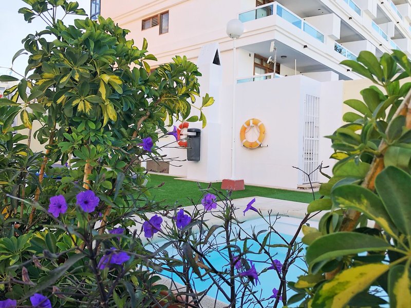 Apartments Don Gregorio Studios 8