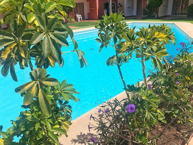 Apartments Don Gregorio Studios 10