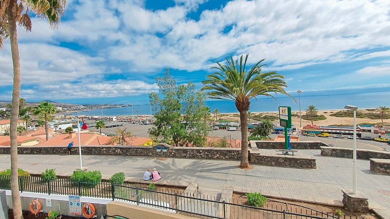 Apartamentos Don Palomon 4