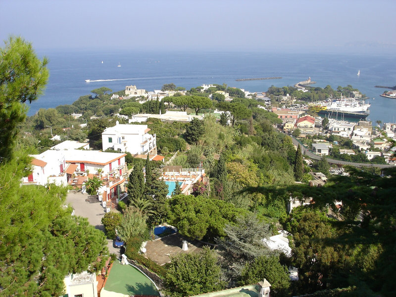 Don Pedro 9