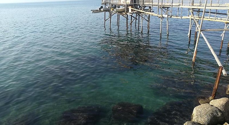 Lo Te E Il Mare
