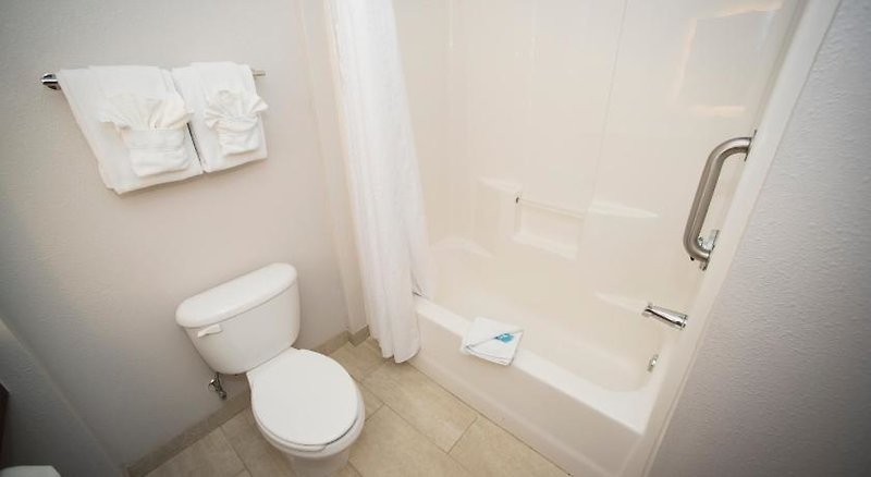 Holiday Inn Express & Suites Lexington-Downtown/University 3 - Bathroom Example